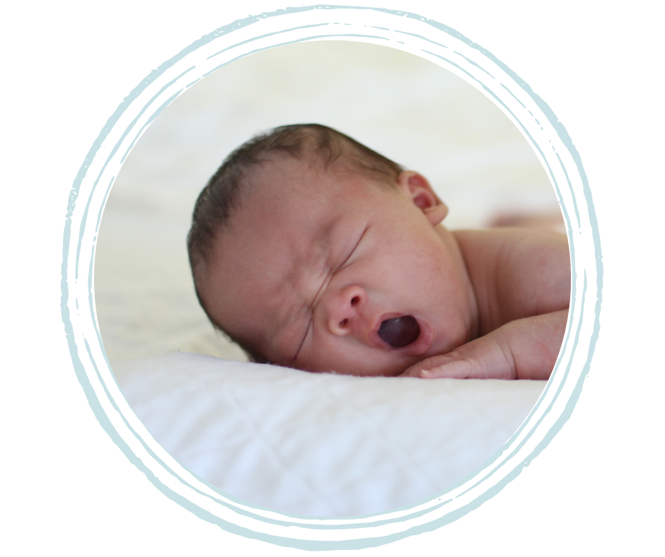 Schlafberatung Wien, St. Pölten & online | Schreibaby ade | Schreibaby findet Ruhe: Unterstützung für entspannte Eltern Schlafberatung Wien, St. Pölten & online | Schreibaby ade | Schreibaby findet Ruhe: Unterstützung für entspannte Eltern