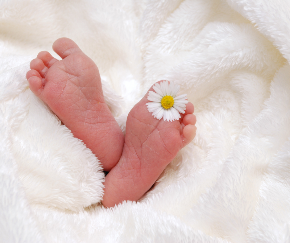 Babyfüsse | Mikronährstoffbegleitung